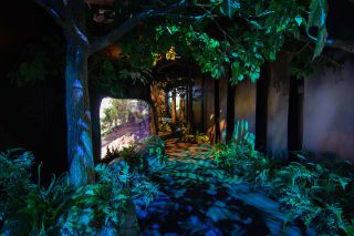 The diorama combines hardscape elements like trees and rocks with lighting, sounds, and projection-mapped elements to draw visitors into an active forest environment.