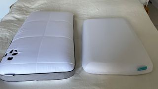 Levitex posture pillow next to panda memory foam pillow