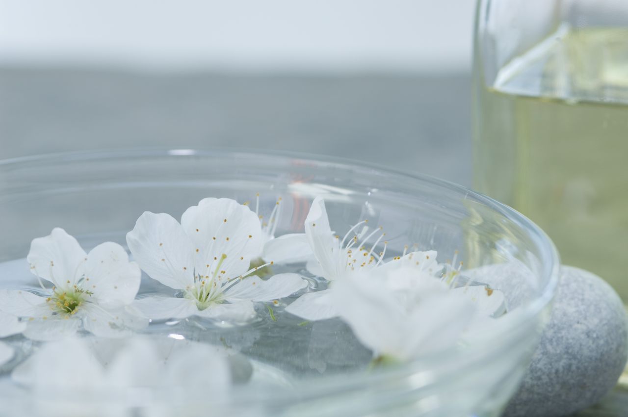 A close-up of a bowl with floating white flowers