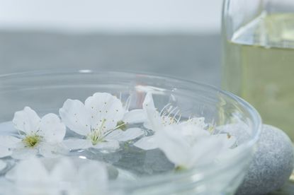 A close-up of a bowl with floating white flowers