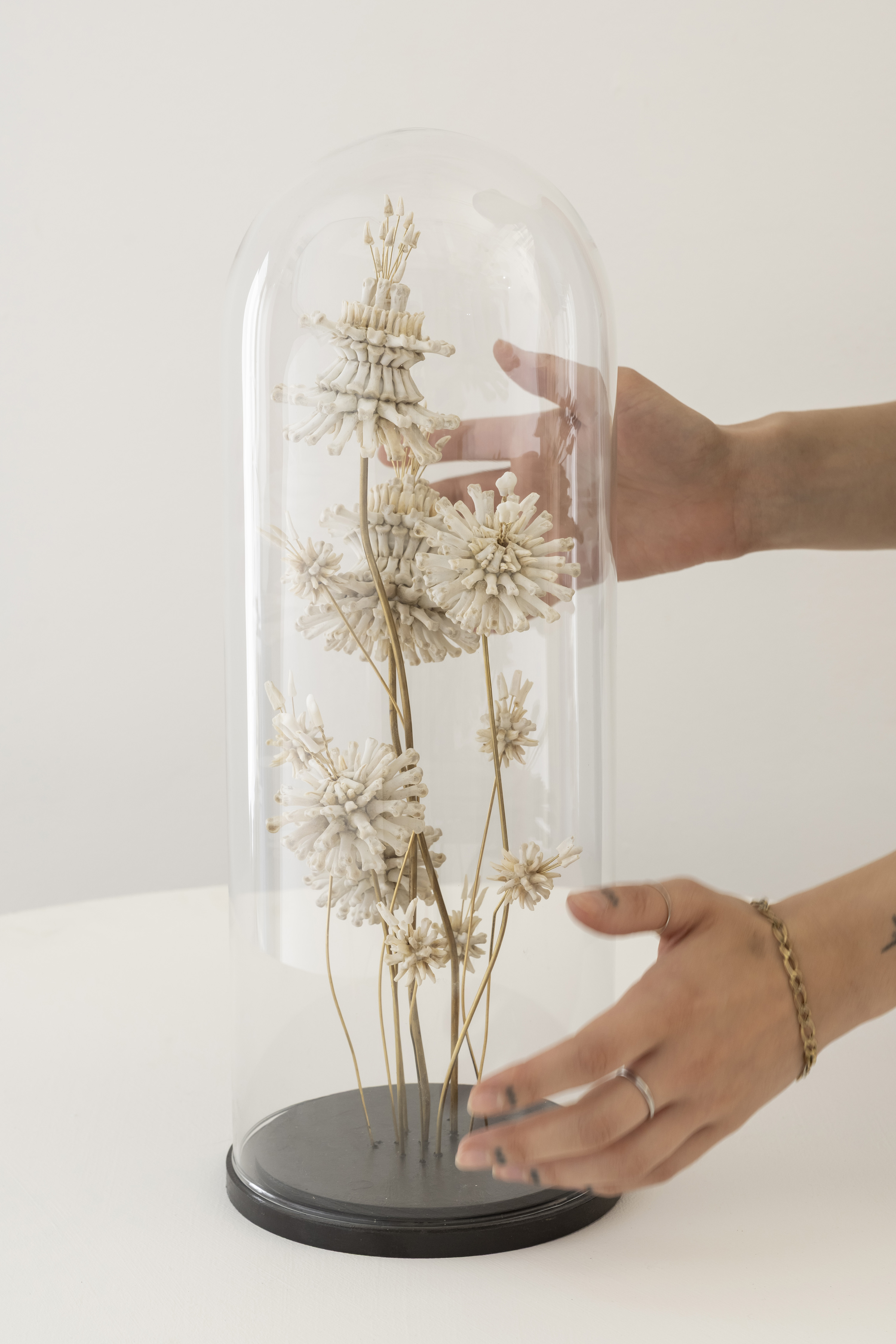 pearl lined homeware