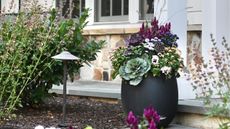 The Inspired Garden fall planter