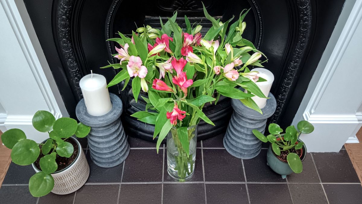 Flowers arranged using the sticky tape hack