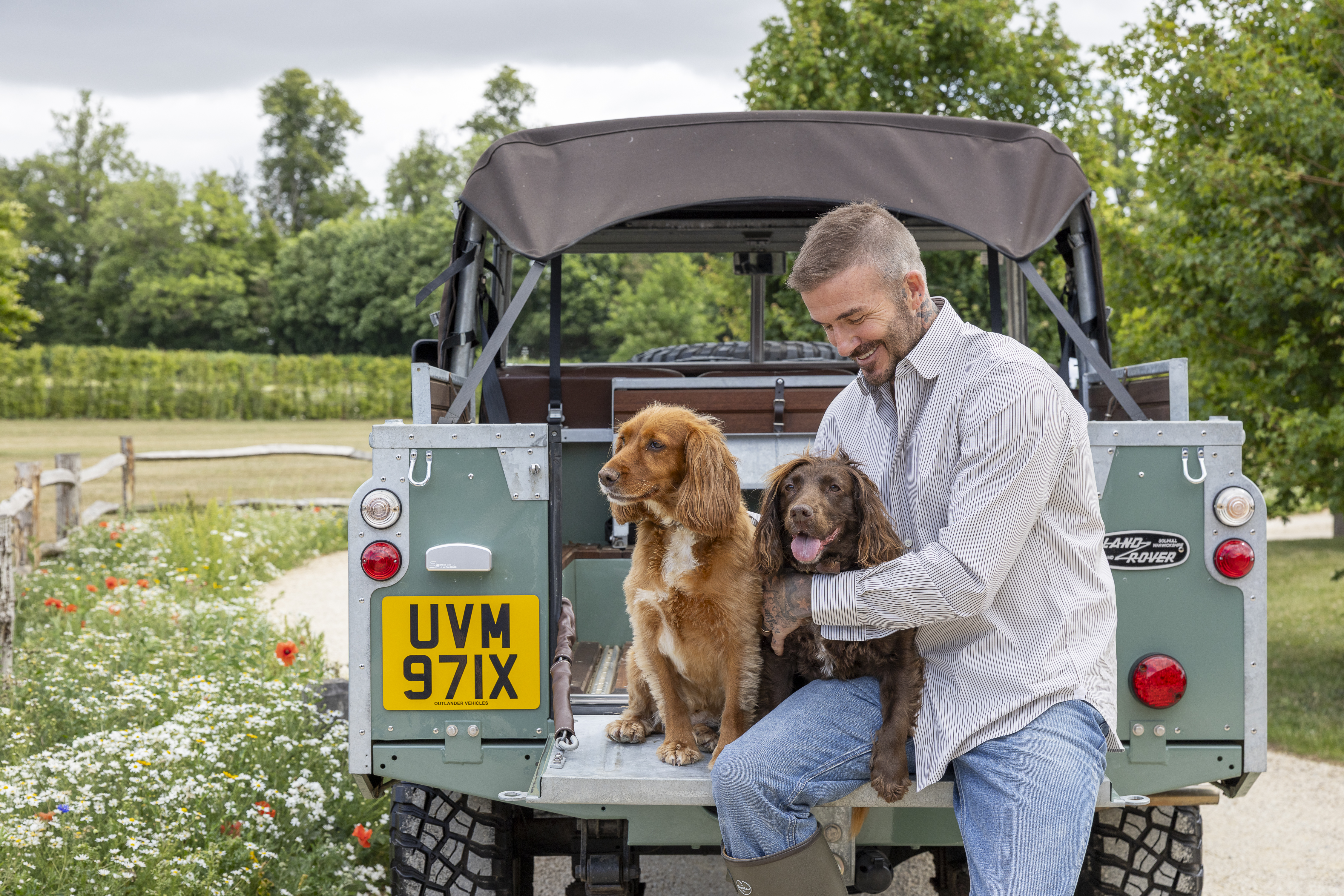 David Beckham is pictured enjoying the countryside with his two Cocker spaniels — one golden, one brown — in a series of relaxed outdoor scenes. He’s seen sitting on the back of a green Land Rover surrounded by wildflowers, sharing an affectionate moment with one of his dogs, walking them across the lawn beside a white picket fence and glasshouse, and sitting by the water’s edge on a wooden bridge bordered by reeds and lavender. In another image, he sits on garden steps lined with purple blooms, his spaniels at his side, perfectly capturing the easy charm of country life.