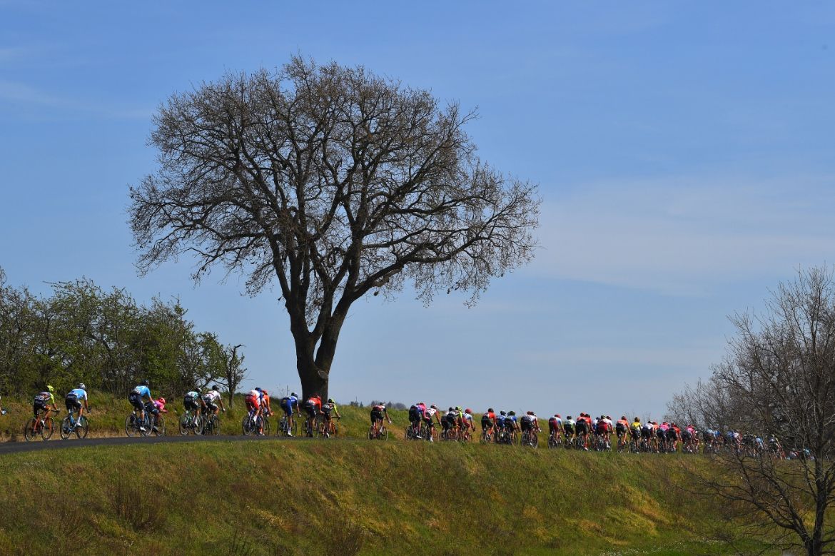 The peloton cuts through the countryside during stage 4