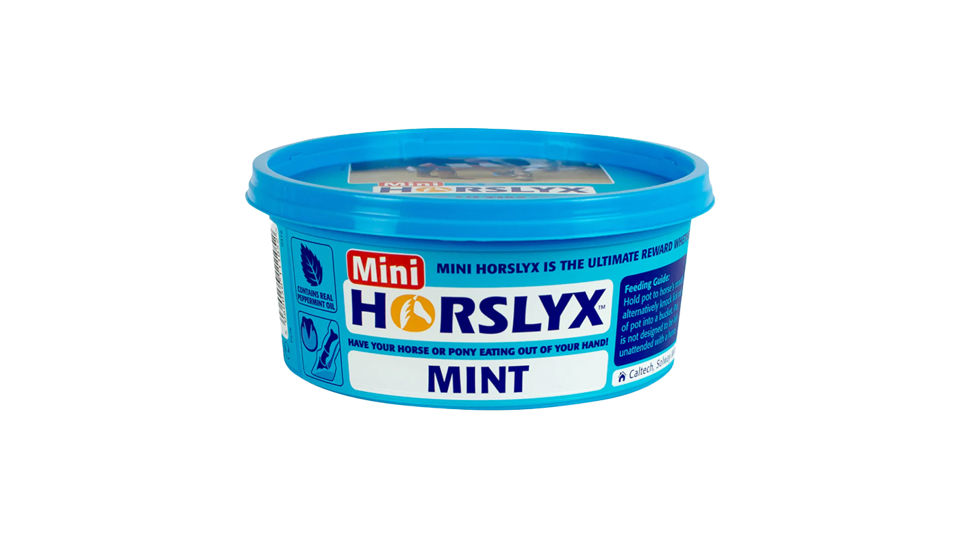 Horslyx Mini Mint Flavoured Lick for horses