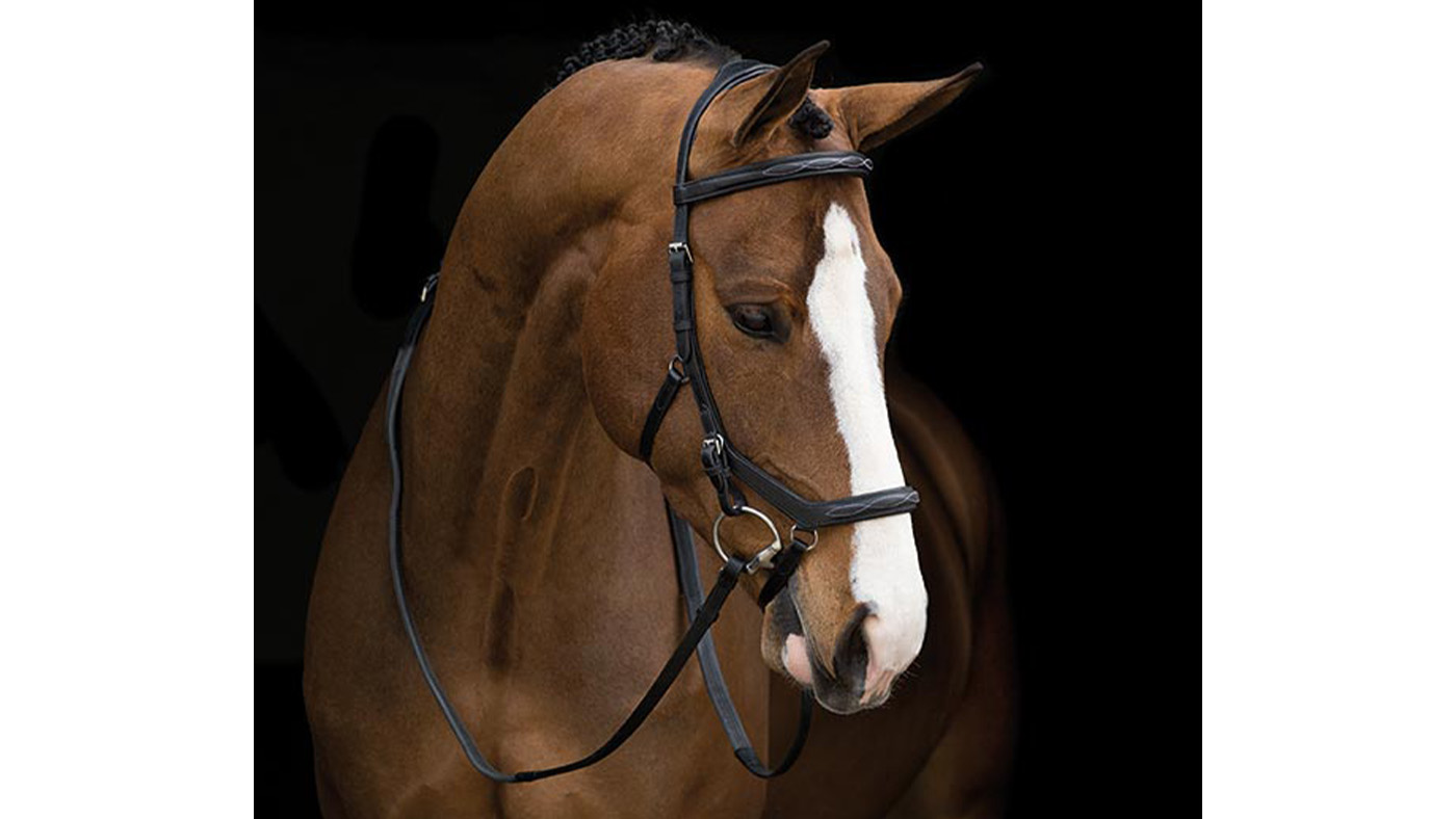 Rambo Micklem Deluxe Competition Bridle