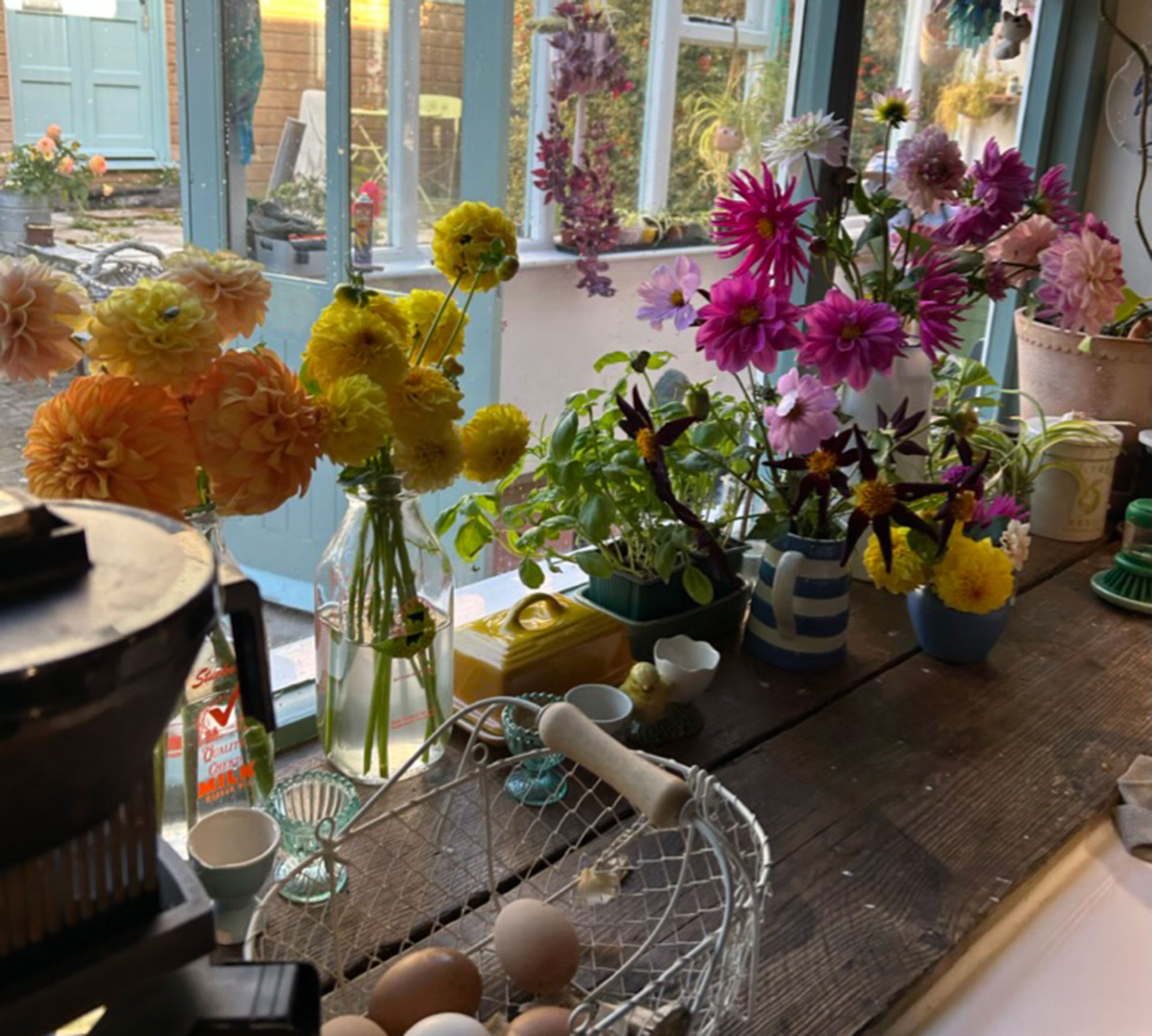 Wooden countertop filled with vases and jugs of colourful dahlias