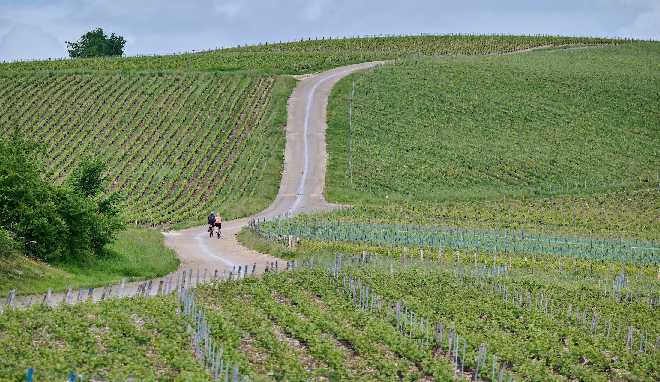 James and Steve Shrubsall riding in the Champagne region of France