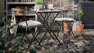 Courtyard garden with slatted wooden bistro table and chairs set with grey cat running past