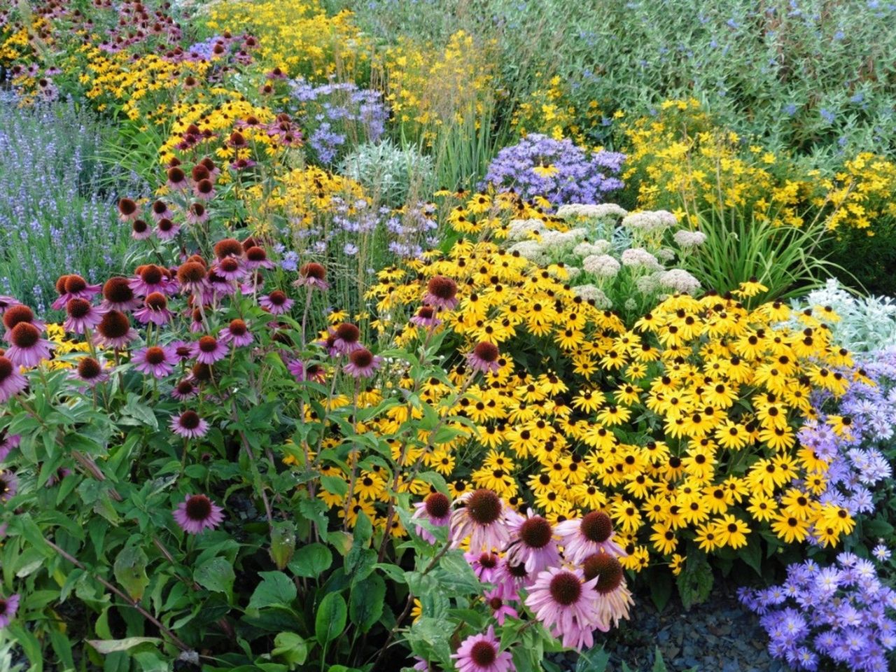 Colorful Perennial Garden