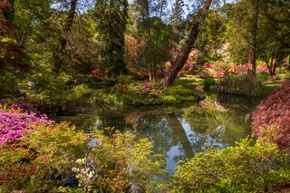 Exbury Gardens