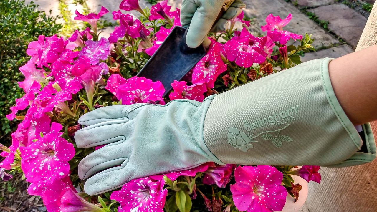 Women&rsquo;s Tuscany Gauntlet Gloves