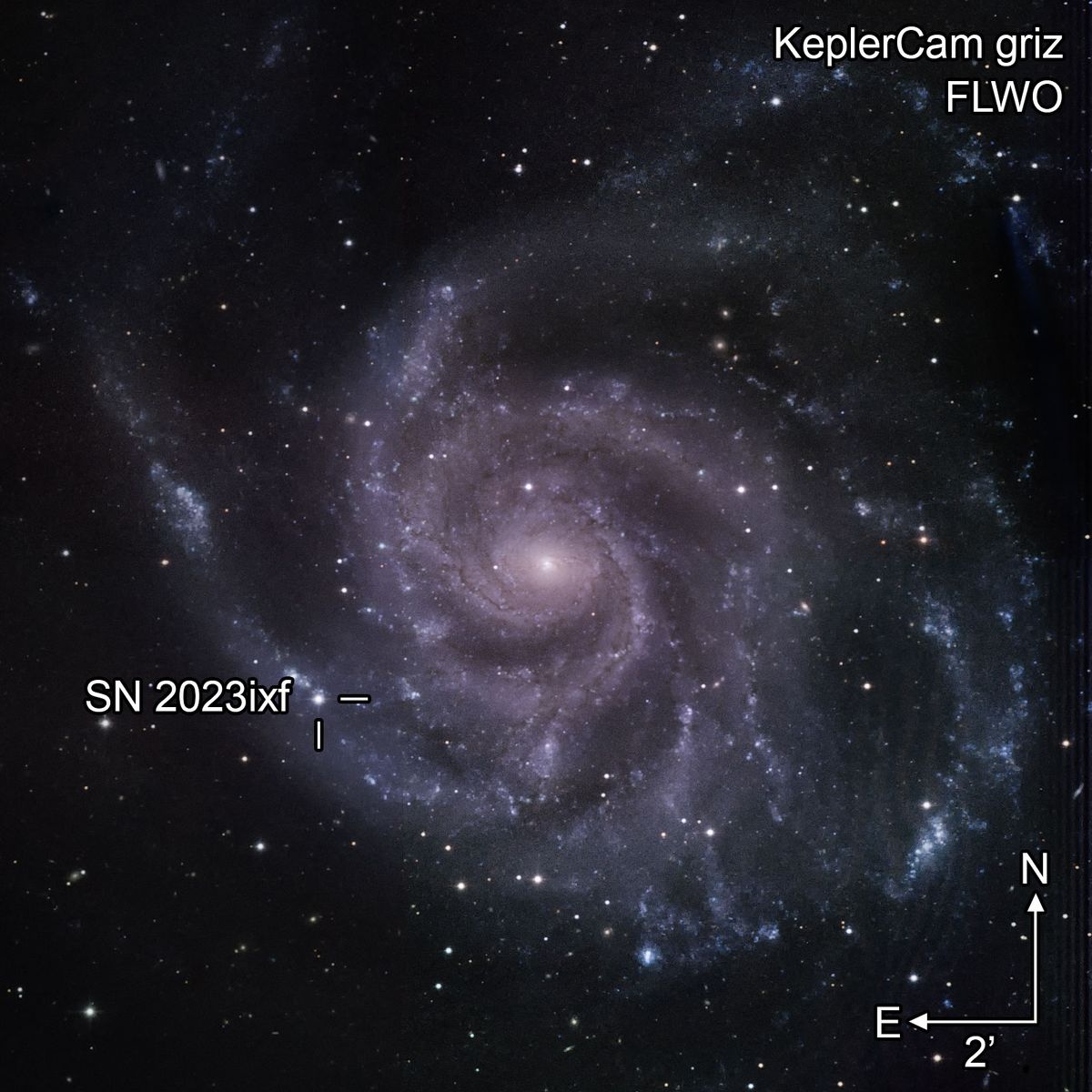 Massive star that exploded in the Pinwheel Galaxy JvkSVaUyZ8dEq7heaxKgGP-1200-80