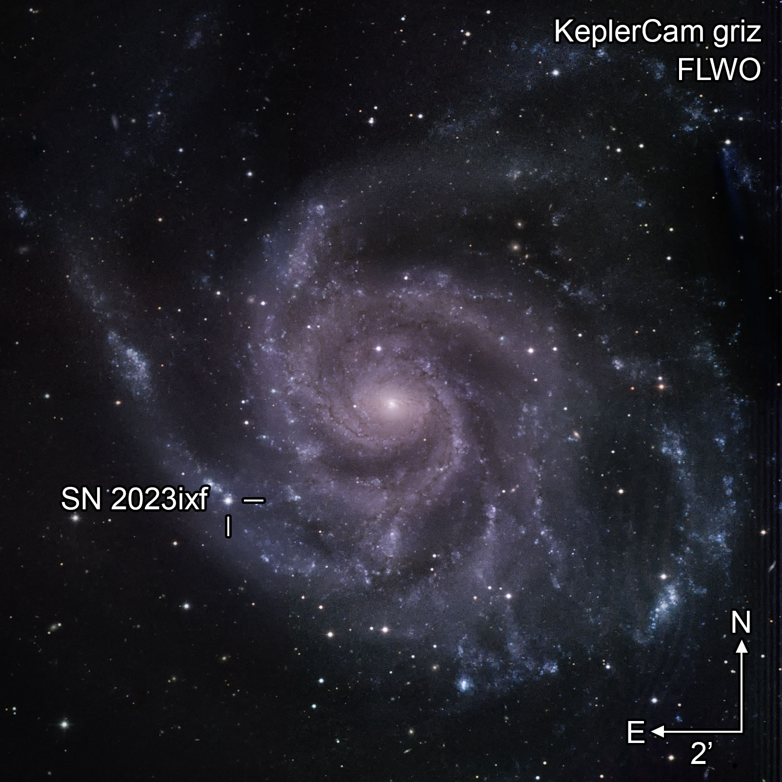 a spiral galaxy is imaged, with indications pointing to a point of light on an arm, labeled SN 2023ixf