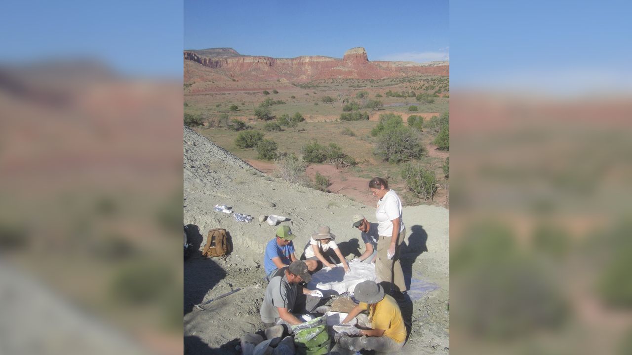 A field team excavates fossils from the Late Triassic Hayden Quarry at Ghost Ranch in 2018.