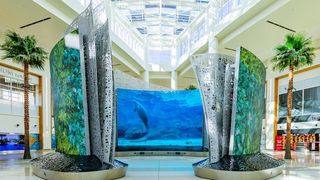 Vivid, immersive displays shine bright in Orlando Airport thanks to Realmotion.
