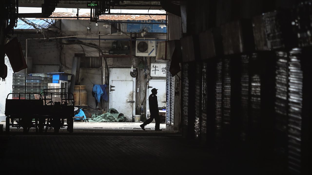 Huanan Seafood Wholesale Market where the Covid-19 strain is believed to have originated