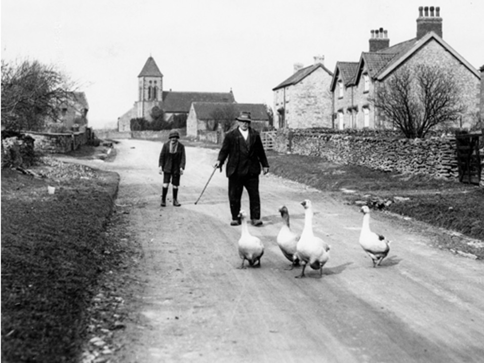 Four white geese walk down a village road, followed by a man with a walking stick and a boy in wellington boots, with stone houses and a church tower behind them.