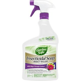 Garden Safe 32 Oz. Insecticidal Soap Ready-To-Use