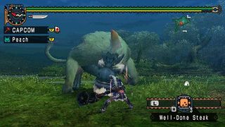 Attack a monster solo with a palico in Monster Hunter Freedom Unite and using a big hammer