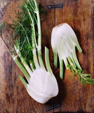 Two fennel bulbs on a wooden background