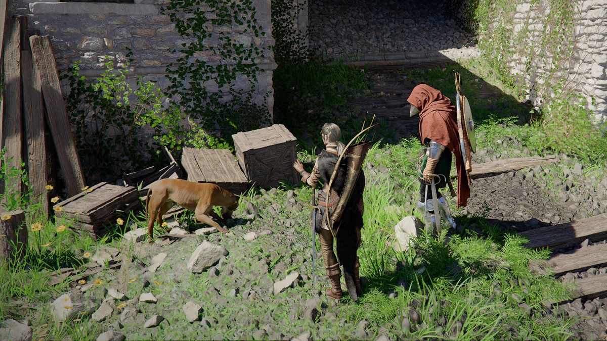 How to get pets in Crimson Desert