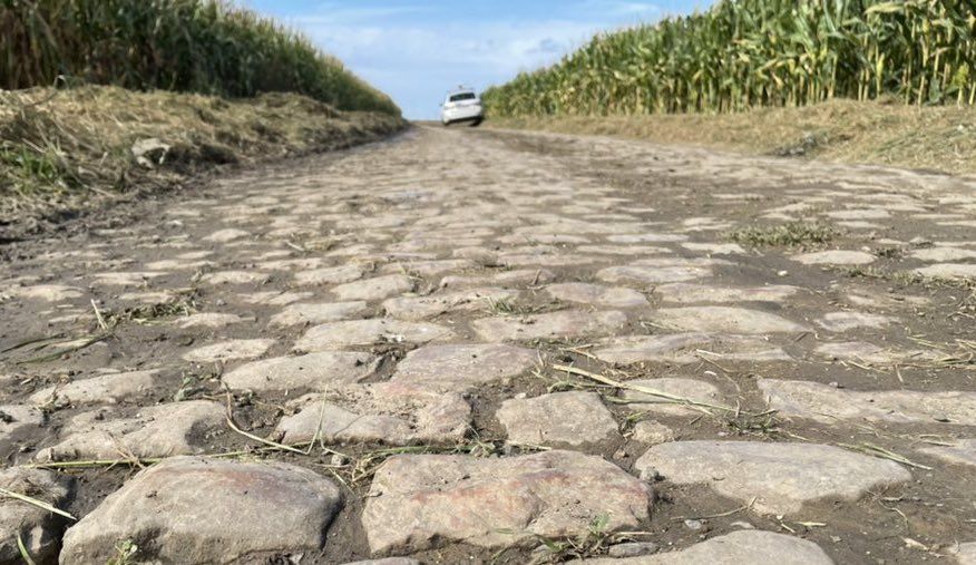 A few of the Paris-Roubaix cobbles