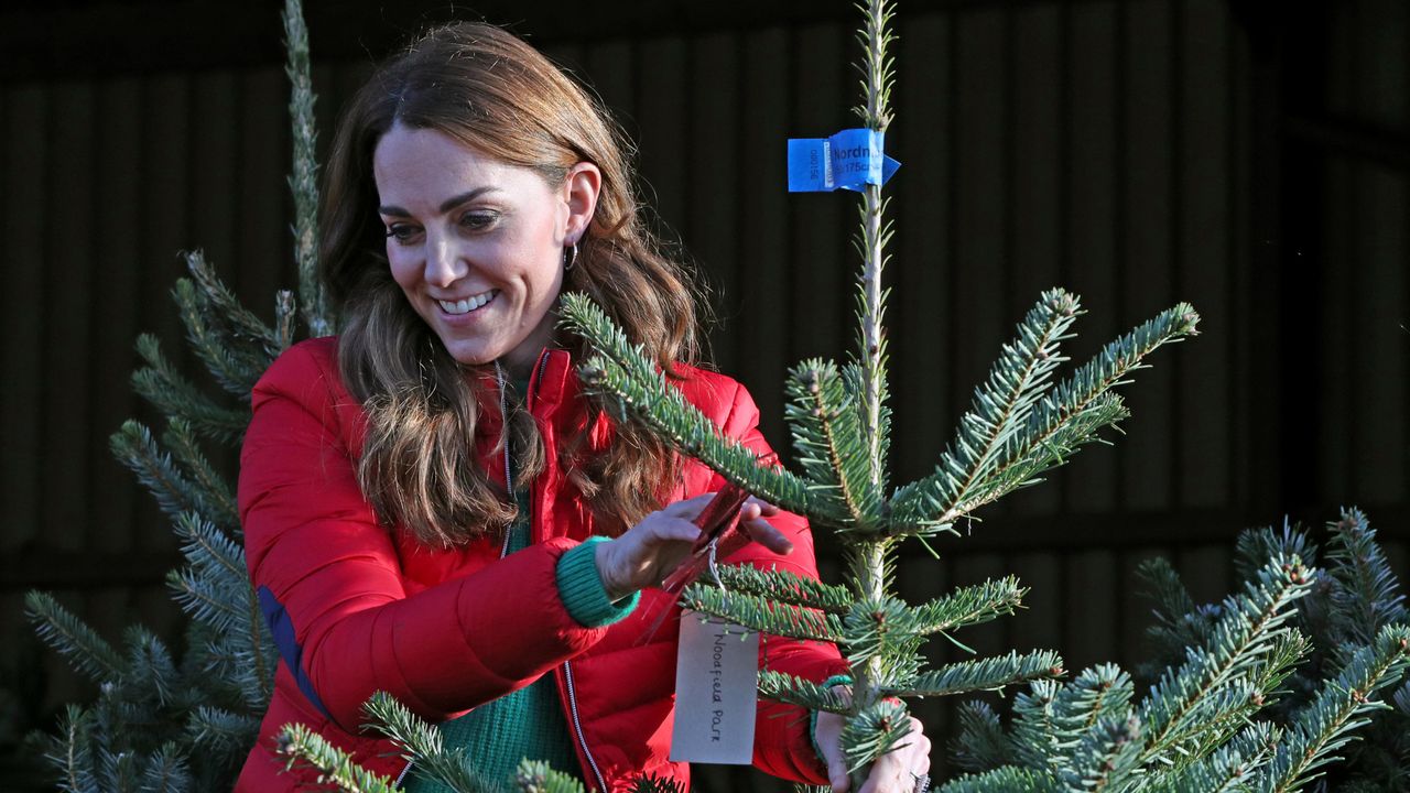 Catherine, Princess of Wales holds up a Christmas tree during a visit to Peterley Manor Farm