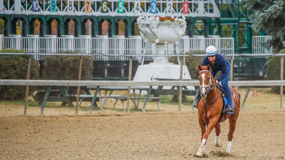 Cyberknife galloping on track for the Breeders&#039; Cup live stream