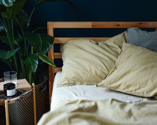 A navy-colored bedroom with light yellow bedding and a green plant and nightstand