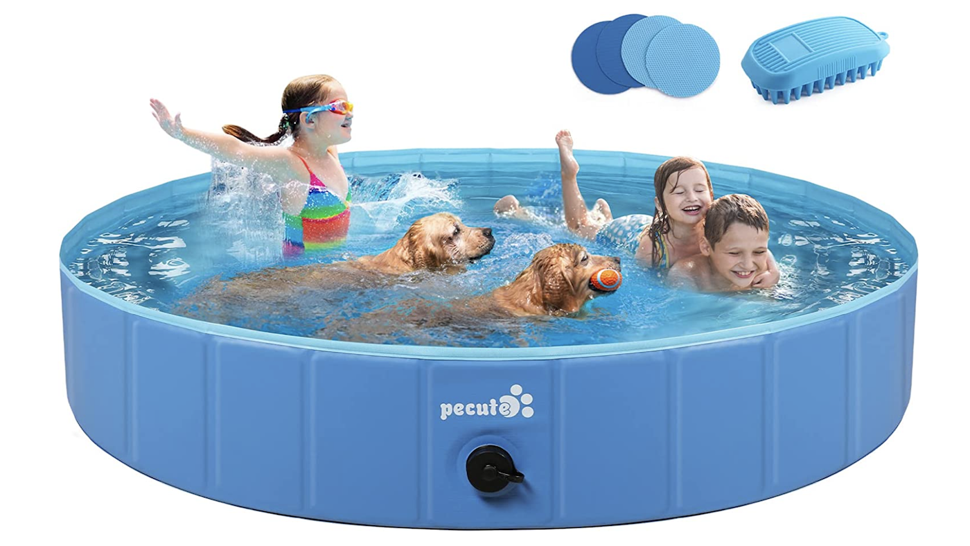 Dog pool with kids and dogs playing