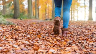 A person walking through autumn leaves
