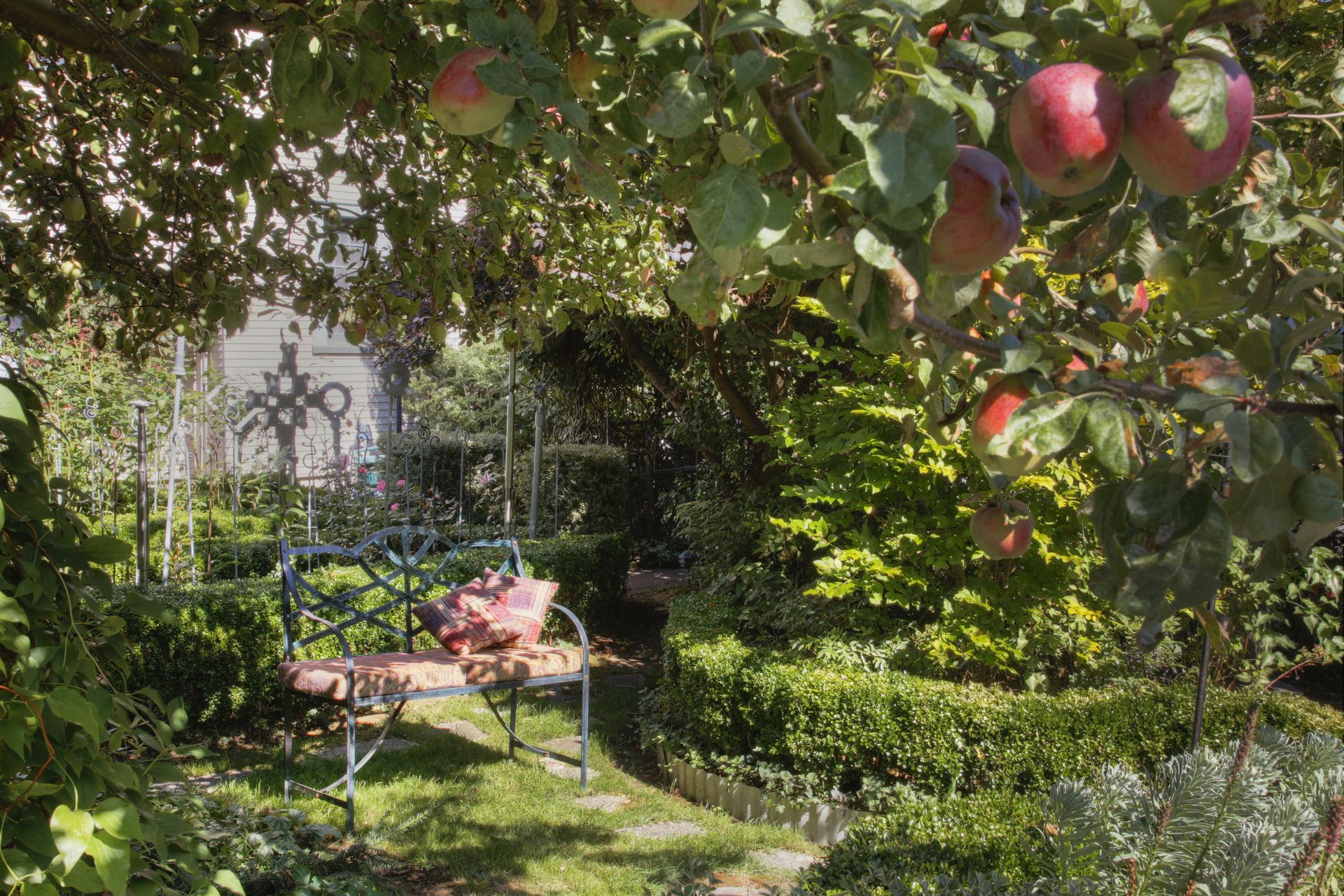 When Should You Fertilize Fruit Trees Experts Weigh In Livingetc how-much-to-plant-for-a-year-s-supply-of-fruit-the-seasonal-homestead