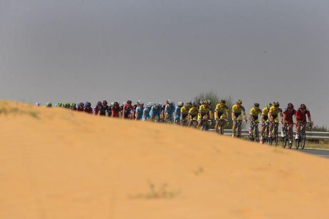 The peloton roll by on stage 3 of the Dubai Tour