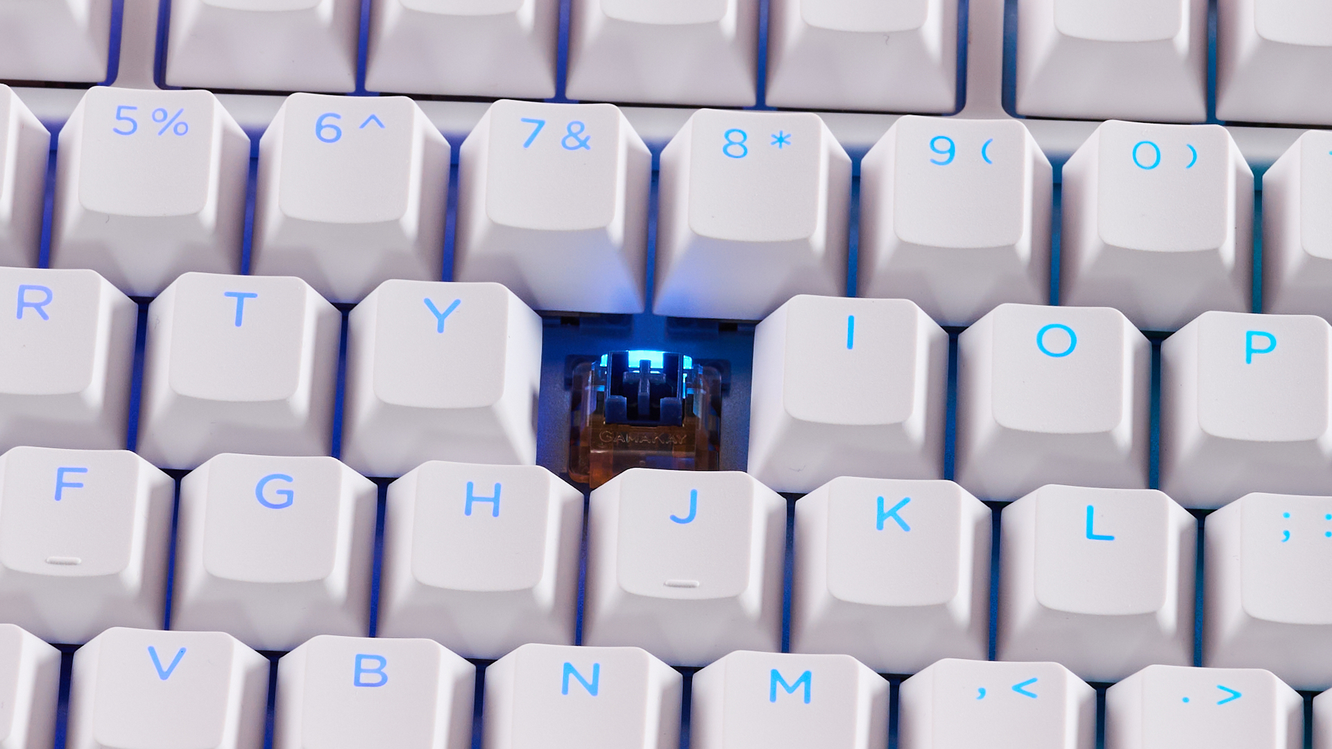 Close-up of exposed switch on Gamakay TK75HE V2 with RGB lighting on