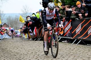 OUDENAARDE BELGIUM APRIL 02 Tadej Pogacar of Slovenia and UAE Team Emirates competes during the 107th Ronde van Vlaanderen Tour des Flandres 2023 Mens Elite a 2734km one day race from Brugge to Oudenaarde UCIWT on April 02 2023 in Brugge Belgium Photo by Dirk Waem PoolGetty Images