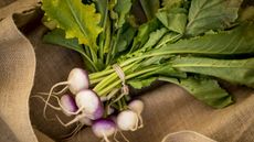 A bunch of turnips in a hessian bag