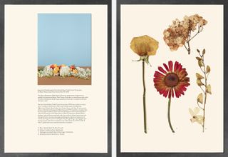 Pictured: a page showing pressed flowers, a photograph of the arrangement and accompanying text for the International Islamic Trade Finance Corporation agreement