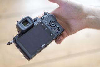 Nikon Z50 Camera Review, Sans Mirror