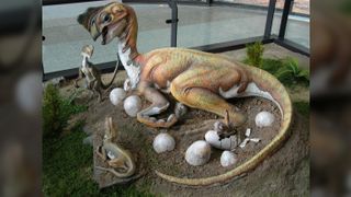Oviraptorid dinosaur with eggs and babies.