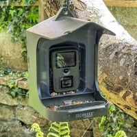 Technaxx bird feeder camera station