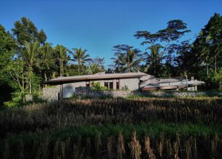 The Loop situated in the fields in Bali