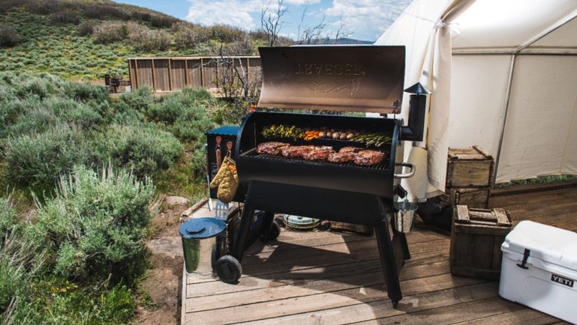 Traeger Pro Series 34 Pellet Grill