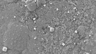 A close-up image of white salt crystals on the gray and rocky surface of a meteorite fragment