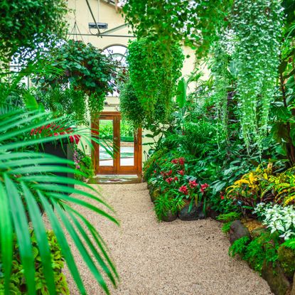 Interior of conservatory