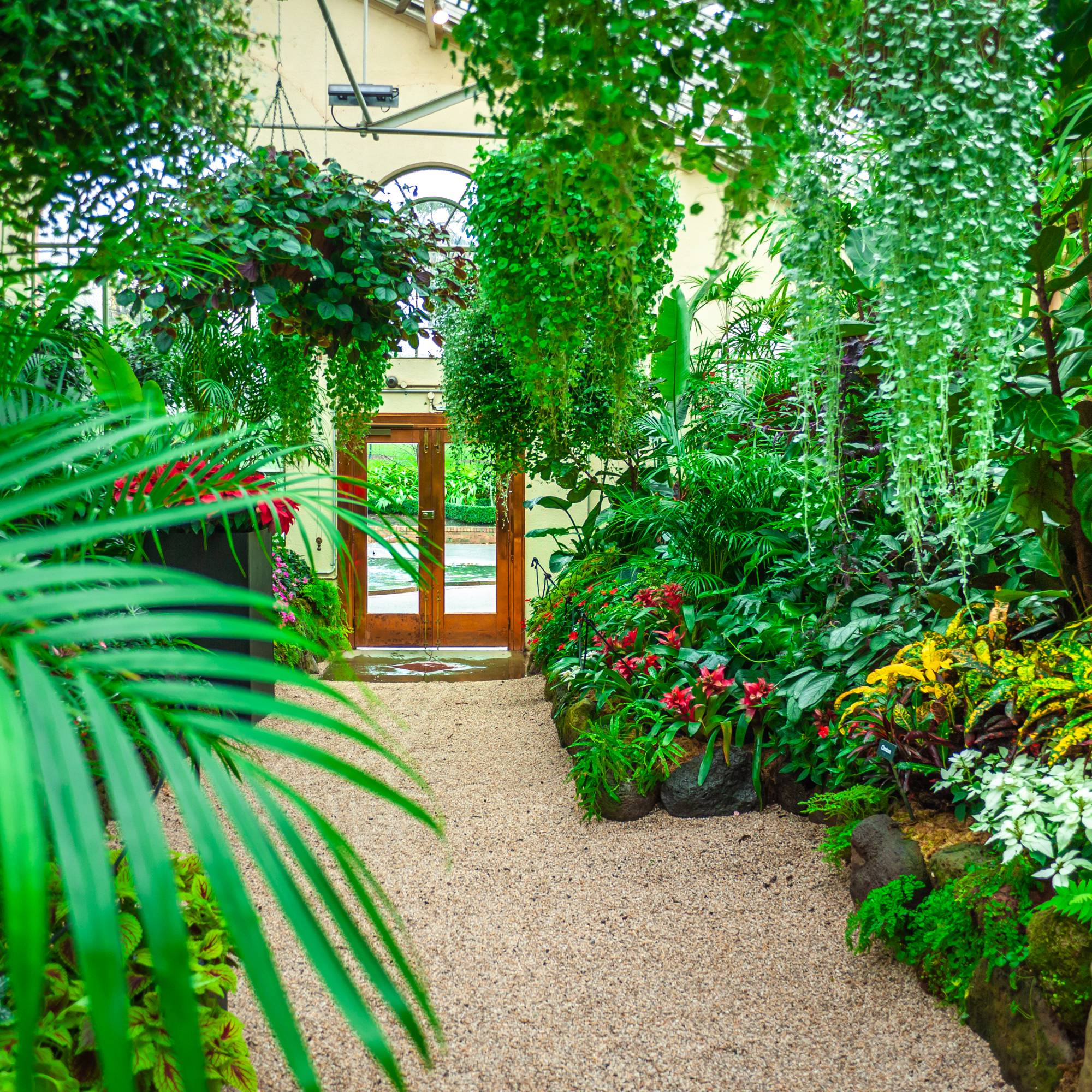 Interior of conservatory