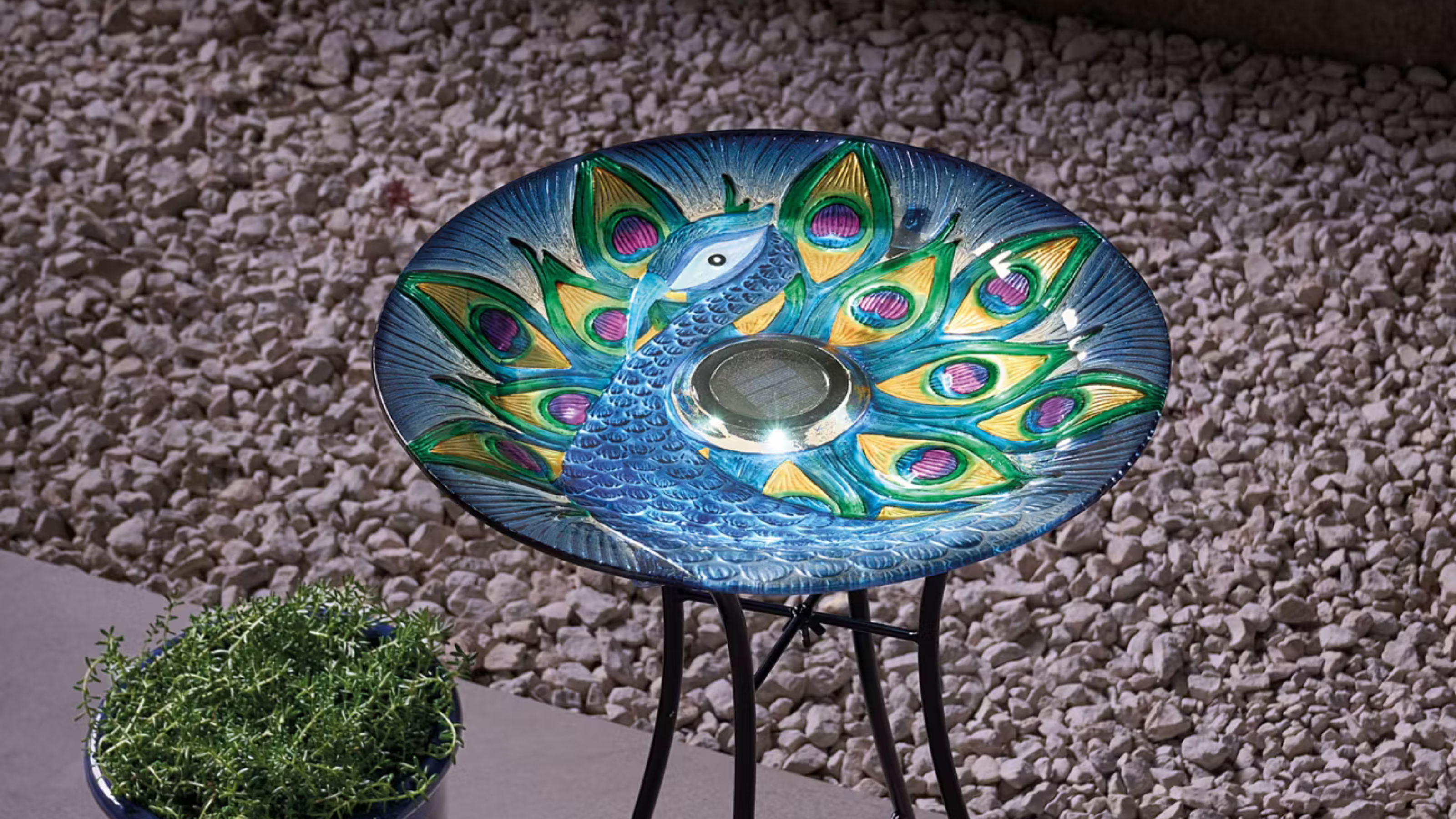 Aldi solar bird bath in peacock.