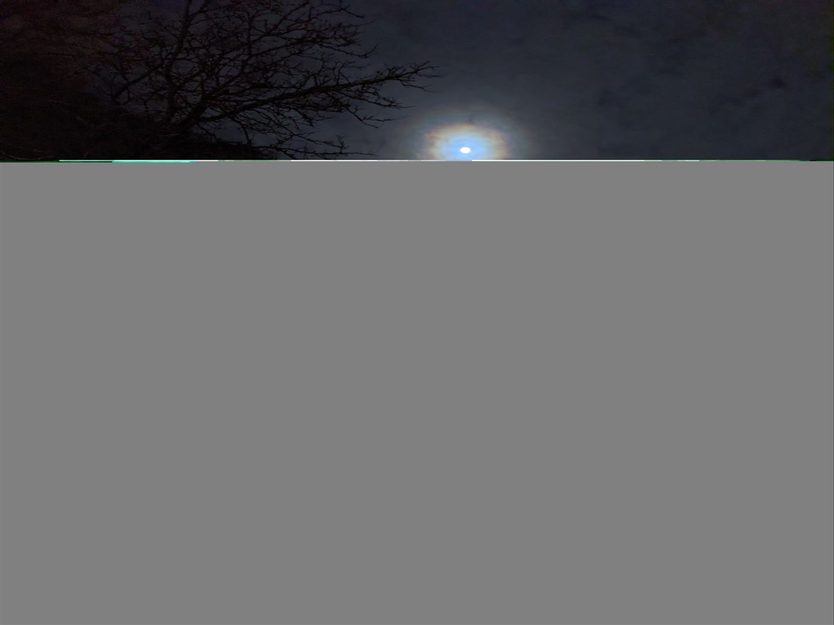 Pixel 4a 5G camera sample from wide-angle in night mode