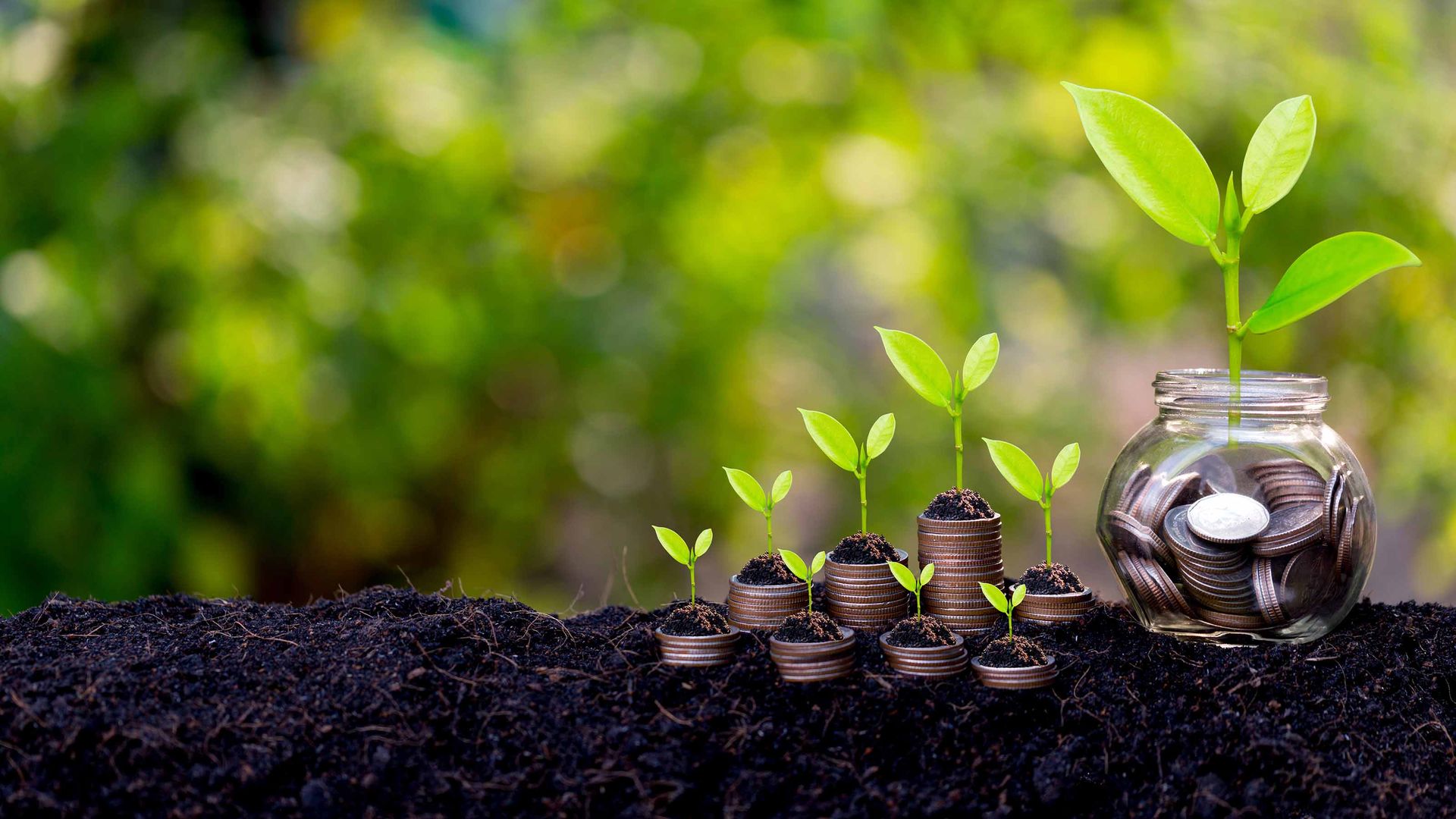 ESG Fund: Green Century Balanced Fund